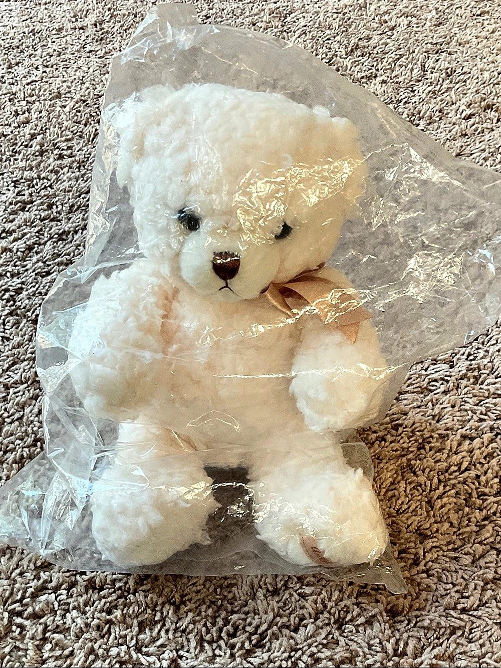 Plush Bear Cream